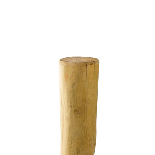 Robinia Paal160cm-8/10cm